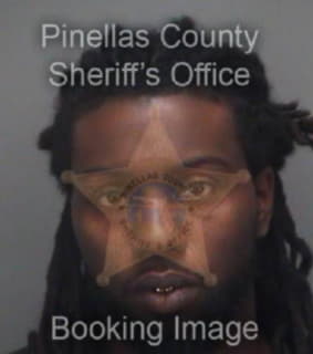 Gilley Dario - Pinellas County, Florida 