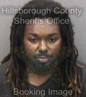 Robinson Darryl - Hillsborough County, Florida 