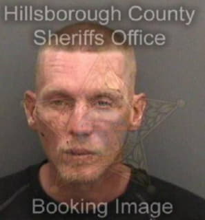 Davis David - Hillsborough County, Florida 