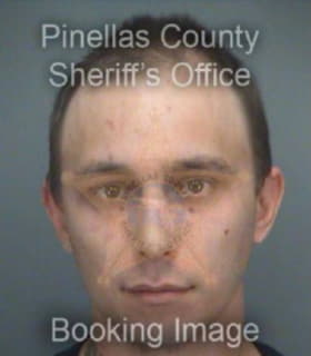 Defreitas Michael - Pinellas County, Florida 