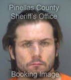 Coppola Raphael - Pinellas County, Florida 