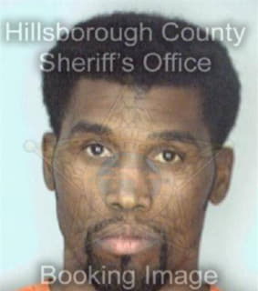 Williams Theodore - Hillsborough County, Florida 