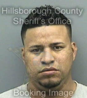 Carrasco Wilmer - Hillsborough County, Florida 