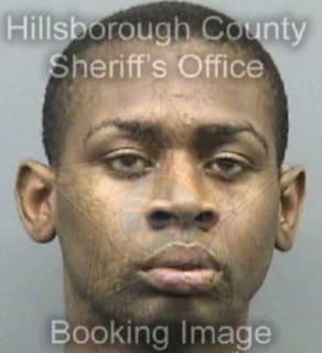 Lewis Alex - Hillsborough County, Florida 