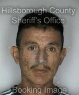 Arizmendez Olegario - Hillsborough County, Florida 