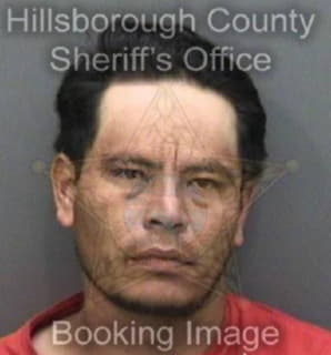 Paguada Jorge - Hillsborough County, Florida 