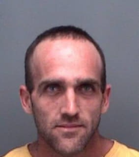 Robinson Michael - Pinellas County, Florida 