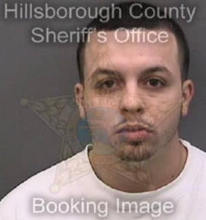 Miller Michael - Hillsborough County, Florida 