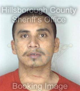 Leon Carlos - Hillsborough County, Florida 