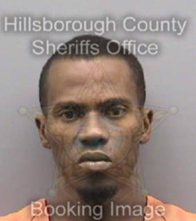 Robinson Christopher - Hillsborough County, Florida 