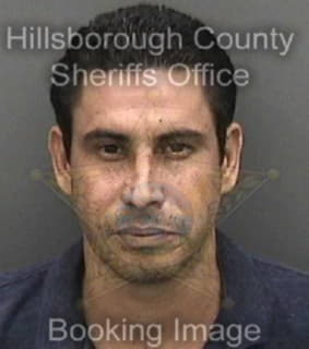 Robles-Fernandez Reinaldo - Hillsborough County, Florida 