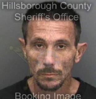 Olson Daniel - Hillsborough County, Florida 