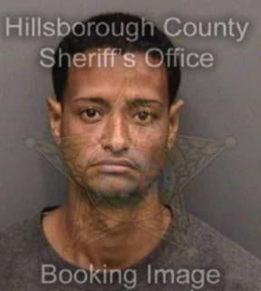 Diazrodriguez Fernando - Hillsborough County, Florida 