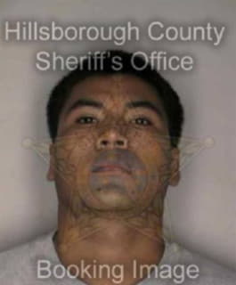 Perez Humberto - Hillsborough County, Florida 