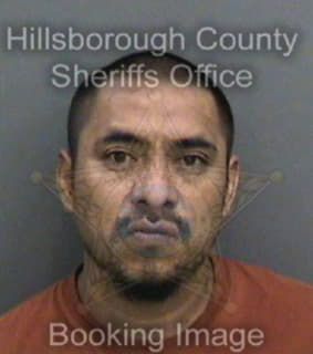 Bautistagonzalez Jose - Hillsborough County, Florida 