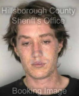 Lemmons Christopher - Hillsborough County, Florida 