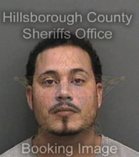 Rodriguez Roberto - Hillsborough County, Florida 