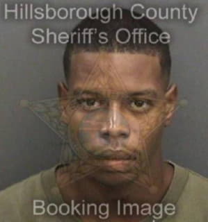 Anderson William - Hillsborough County, Florida 