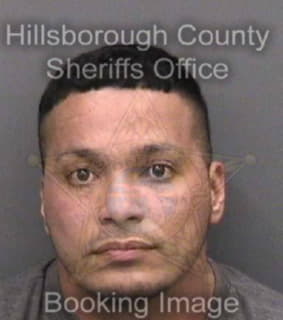 Vega Eliud - Hillsborough County, Florida 