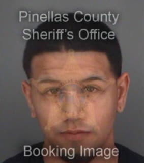 Delgado Joshua - Pinellas County, Florida 