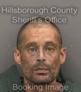 Ortiz Michael - Hillsborough County, Florida 