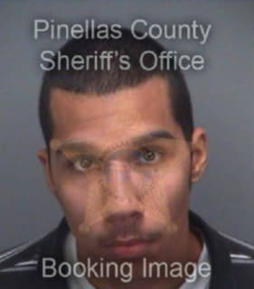 Matthews Lorenzo - Pinellas County, Florida 