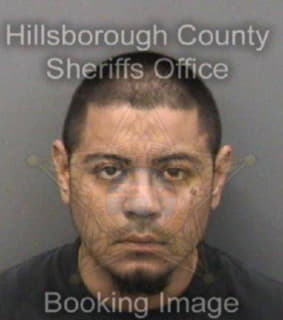 Aguilera Daniel - Hillsborough County, Florida 