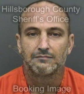 Dino Domenick - Hillsborough County, Florida 