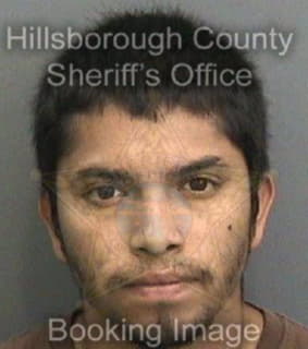 Ortiz Julio - Hillsborough County, Florida 