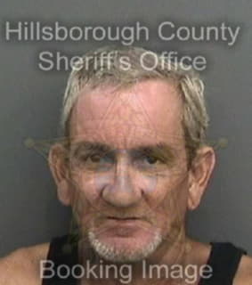 Ramirez Reynaldo - Hillsborough County, Florida 