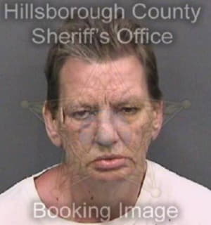 Allison Cheryl - Hillsborough County, Florida 