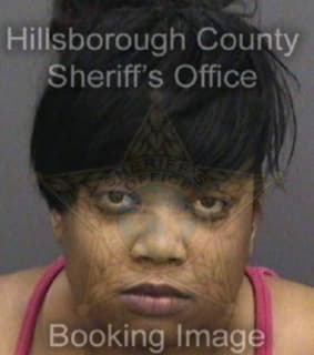 Anderson Danielle - Hillsborough County, Florida 