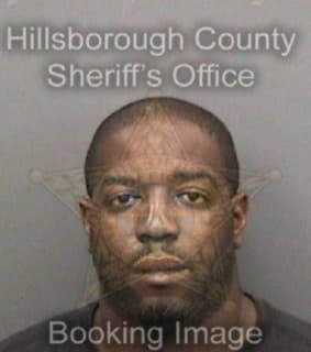 Bradley John - Hillsborough County, Florida 