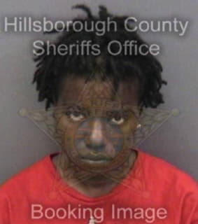 Fowler Yasmine - Hillsborough County, Florida 