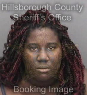 Clark Audrianne - Hillsborough County, Florida 