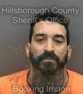 Rosado Christopher - Hillsborough County, Florida 