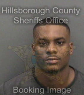 Johnson Christopher - Hillsborough County, Florida 