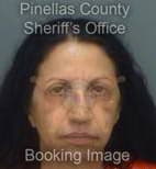 Hosner Nili - Pinellas County, Florida 