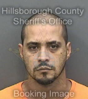 Rivero Rene - Hillsborough County, Florida 