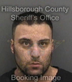 Aldabesheh Samer - Hillsborough County, Florida 