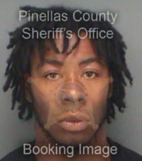 Goins Ceron - Pinellas County, Florida 