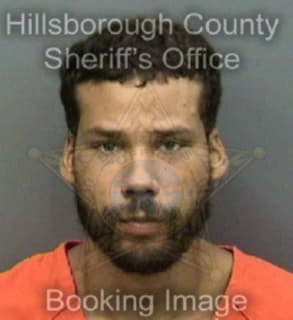 Diaz John - Hillsborough County, Florida 