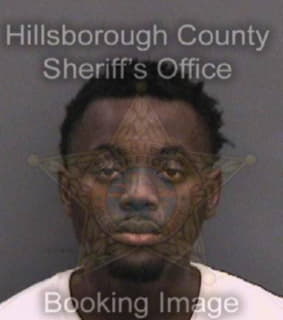 Lee Matthew - Hillsborough County, Florida 