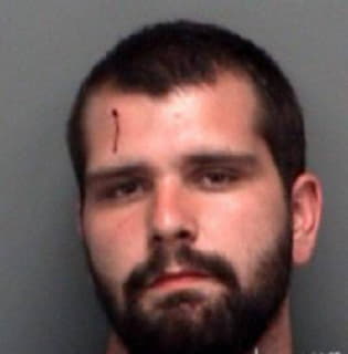 Jerger Tyler - Pinellas County, Florida 