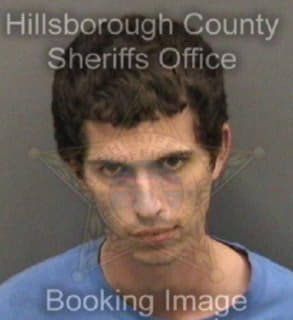 Maynard Andrew - Hillsborough County, Florida 