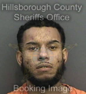 Lopez David - Hillsborough County, Florida 