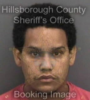 Romeromaldonado Fabian - Hillsborough County, Florida 