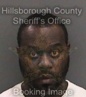 Robinson Lavain - Hillsborough County, Florida 