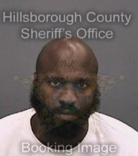 Johnson Dayquan - Hillsborough County, Florida 