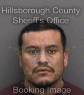 Martinez Juan - Hillsborough County, Florida 